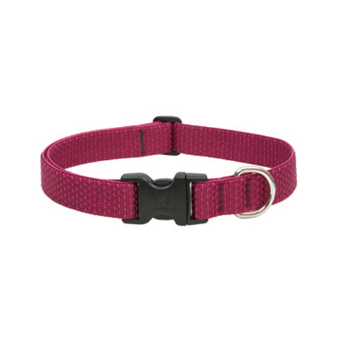 Eco Dog Collar, Adjustable, Berry, 1 x 12 to 20-In.