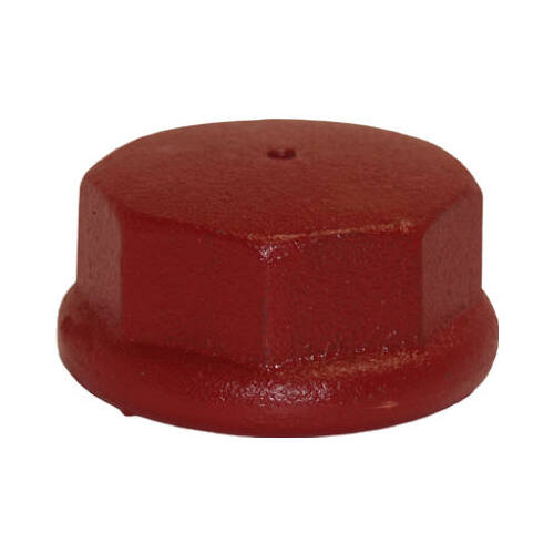 Water Source DC125 Well Point Drive Cap, Cast Iron, 1.25-In.