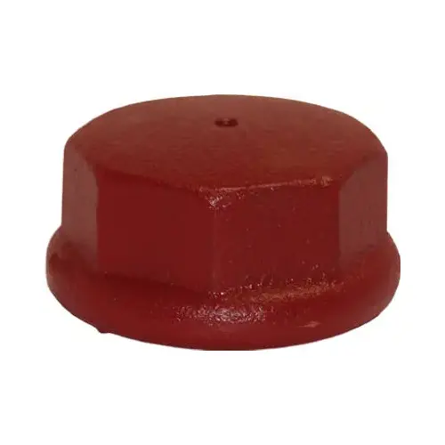 Water Source DC125 Well Point Drive Cap, Cast Iron, 1.25-In.