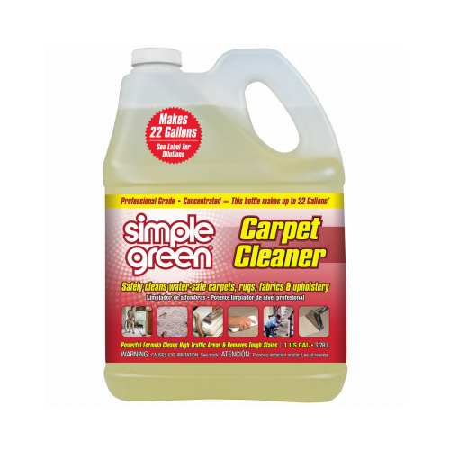 Professional Carpet Cleaner & Stain Remover, Gallon