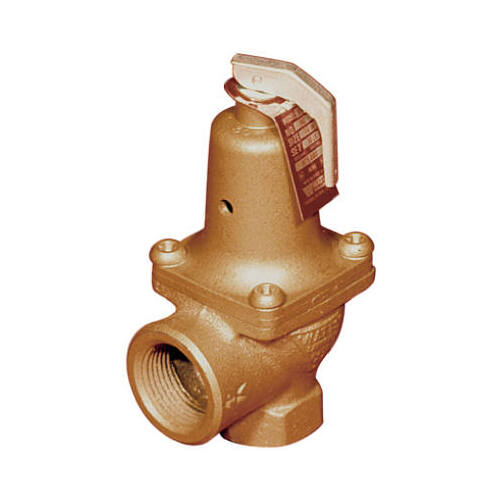 Watts 174A ASME Water-Pressure Relief Valve, 30-Lb., 0.75-In.