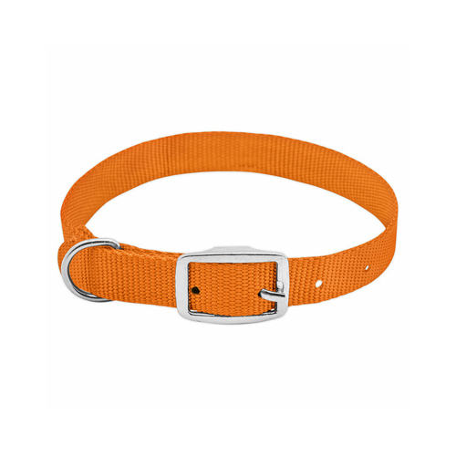 Pet Expert PE224308 Dog Collar, Adjustable, Orange Nylon, Quadlock Buckle, 1 x 19 to 22-In.