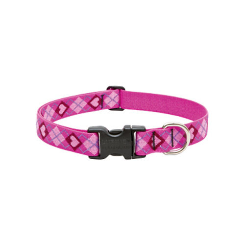 Dog Collar, Adjustable, Puppy Love, 1 x 12 to 20-In.
