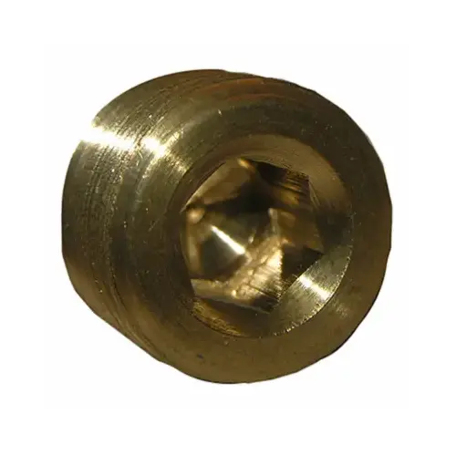 1/4" Countersunk Plug