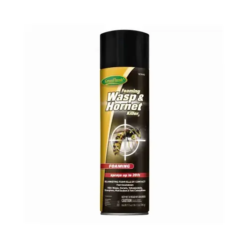 Foaming Wasp & Hornet Spray, 17.5-oz.