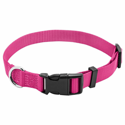 Pet Expert PE224002 Pet Expert Adjustable Nylon Dog Collar, Pink, 3/4 x 14-20 In.