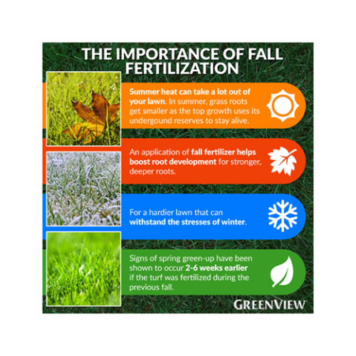 GreenView 2131174 Fall Lawn Food Fertilizer, Covers 15,000 Sq. Ft., 48-Lbs.