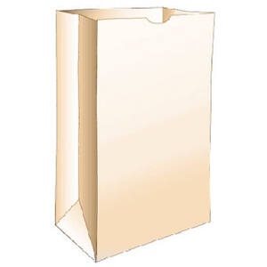 Paper Lunch Bags