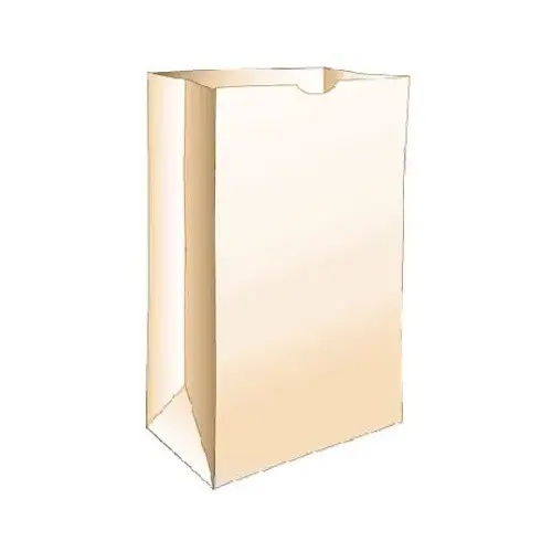 R3 CHICAGO 80055 Paper Lunch Bags, Brown, 50-Ct.