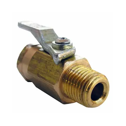 1/4FPTx1/4MPT Bal Valve