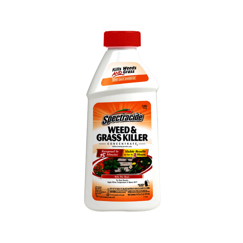 Weed and Grass Killer, Liquid, Amber, 16 oz