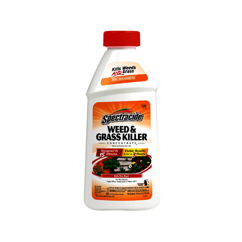 SPECTRACIDE HG66001 Weed and Grass Killer, Liquid, Amber, 16 oz