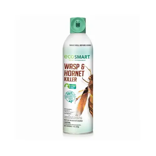 Wasp & Hornet Killer, 9-oz.