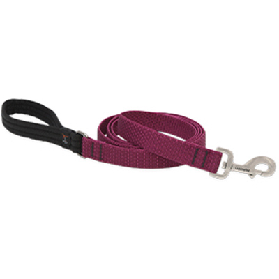 LUPINE INC 36959 Eco Dog Leash, 1-In. x 6-Ft.