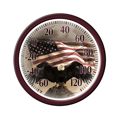TAYLOR PRECISION PRODUCTS 6773 Bald Eagle Outdoor Thermometer, 13-In.