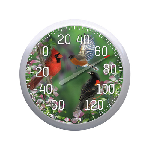 Bird Thermometer, Multi-Color Casing