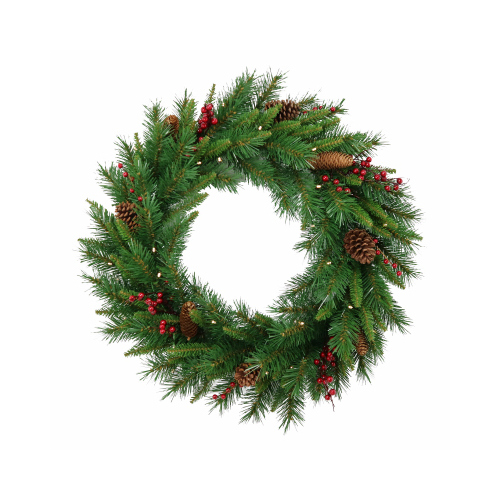 NATIONAL TREE CO-IMPORT WB8-300-24W-B Woodland Berry Artificial Wreath, 50 LED Lights, 24-In.