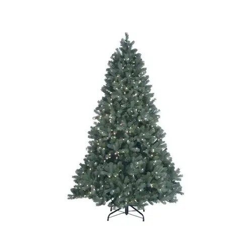 NATIONAL TREE CO-IMPORT PEDDB2-W02-75 Artificial Pre-Lit Christmas Tree, Douglas Blue Fir With 700 Warm White LED Lights, Hinged, 7.5-Ft.