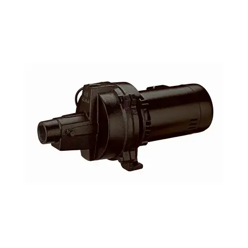 Shallow Well Jet Pump, 1-HP