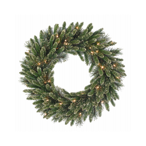 NATIONAL TREE CO-IMPORT TGLB1-300-24WB Artificial Wreath, Golden Bristle, 50 Battery-Operated Warm White LED Lights, 24-In.