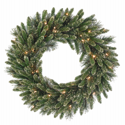 NATIONAL TREE CO-IMPORT TGLB1-300-24WB Artificial Wreath, Golden Bristle, 50 Battery-Operated Warm White LED Lights, 24-In.