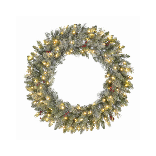 Jackson Snowy Pine Wreath, 50 Warm White Micro Dot LED Lights, 24-In.