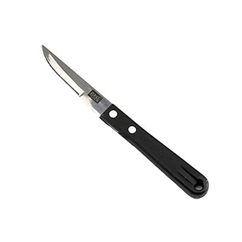 Paring Knife, Black Plastic & Stainless Steel