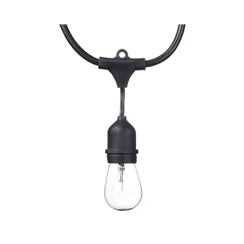 Dublin Incandescent String 12-Light Set, 24-Ft.