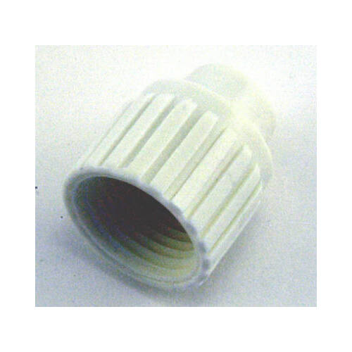 Pipe Cap, 1/2 in, PEX, White