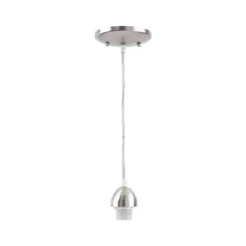 Mini Pendant Light Fixture, 1-Lamp, Incandescent Lamp, Brushed Nickel Fixture