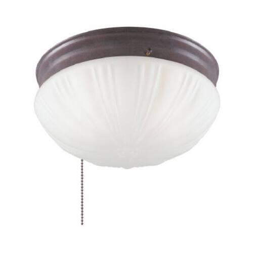 Ceiling Light 8.75" L