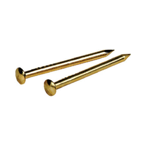 Escutcheon Pins 18 Ga. X 1" L Brass-Plated Steel 1 pk 1.5 oz Brass-Plated