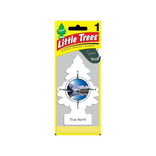 Little Trees U1P-17146-XCP24 Air Freshener True North Scent Solid - pack of 24