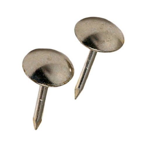 Furniture Nail, Nickel, Hammered Head - pack of 25