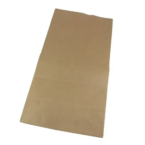 PACK N' EAT 90012 Pack N' Eat Twelve Pound Kraft Paper Bag, 500 Piece