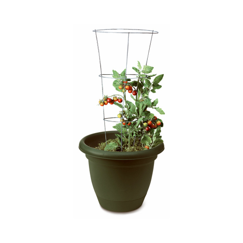 Tomato Cage 33" H X 12 W Steel - pack of 25
