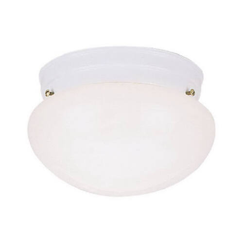 WESTINGHOUSE LIGHTING 66699 8-Inch Ceiling Light Fixture
