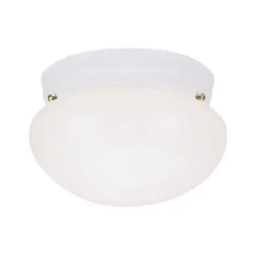 8-Inch Ceiling Light Fixture