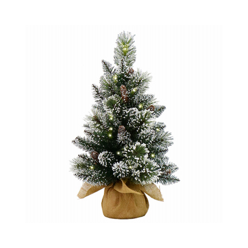 NATIONAL TREE CO-IMPORT GB2-392-20-B Artificial Pre-Lit Christmas Tree, Glittery Bristle Pines, 15 Warm White LED Lights, 2-Ft.