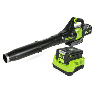 GREENWORKS TOOLS 2404802 Cordless 80 Volt Backpack Leaf