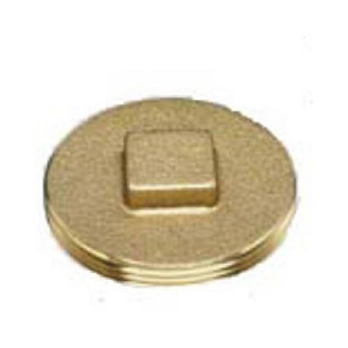 Cleanout Pipe Plug, 2 in, Raised Head, Brass