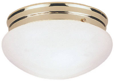 WESTINGHOUSE LIGHTING 66609 9-1/2-Inch Ceiling Light Fixture