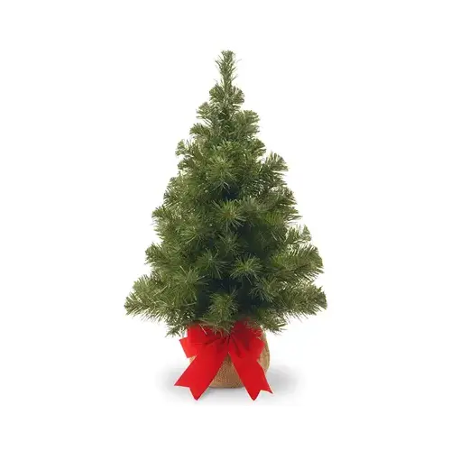 NATIONAL TREE CO-IMPORT NB1-20BP-BS Artificial Pre-Lit Christmas Tree, Noble Fir, 15 Warm White LED Lights, 16-In. x 2-Ft