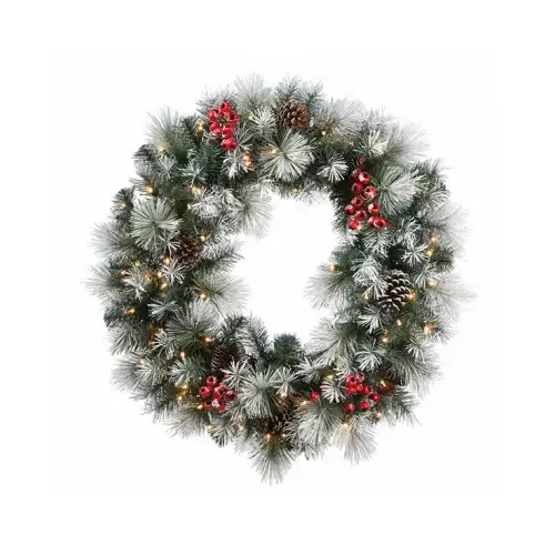 NATIONAL TREE CO-IMPORT SGP-300-24W-B Snowy Glacier Pine Artificial Wreath, 50 Warm White LED Lights, 24-Ft.
