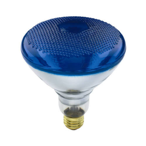 Globe Electric 70892 Flood Light Bulb, Blue, 100-Watts