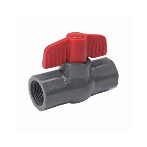 Ball Valve, 1 in Connection, FPT x FPT, 150 psi Pressure, PVC Body Gray