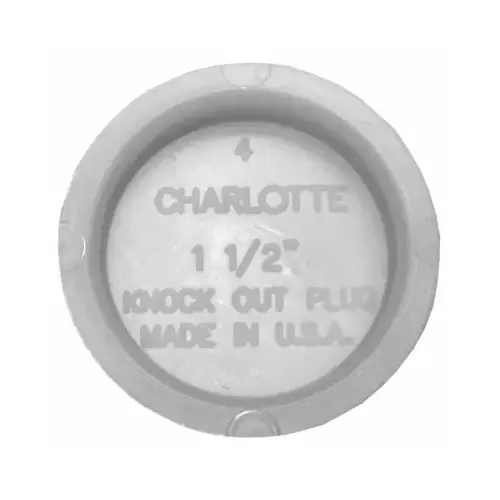 Charlotte Pipe PVC 00131 0600 Test Cap 1.5" D PVC