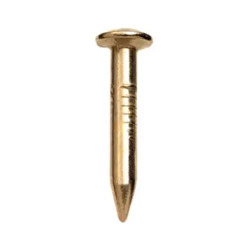 Nail 1" Bendless Brass-Plated Steel Oval Head Brass-Plated