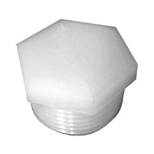 Nylon Hex Head Pipe Plug, 1/4 In. MPT