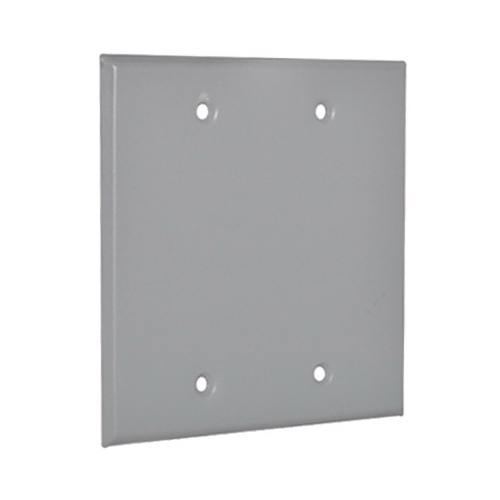 HUBBELL ELECTRICAL PRODUCTS 2BC Weatherproof Blank Cover, 2-Gang, Gray